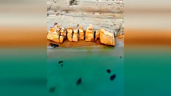 با یک ساحل زیبا در جنوب کشور آشنا شوید + فیلم