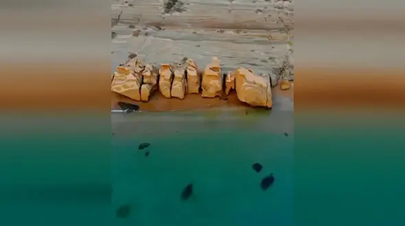 با یک ساحل زیبا در جنوب کشور آشنا شوید + فیلم