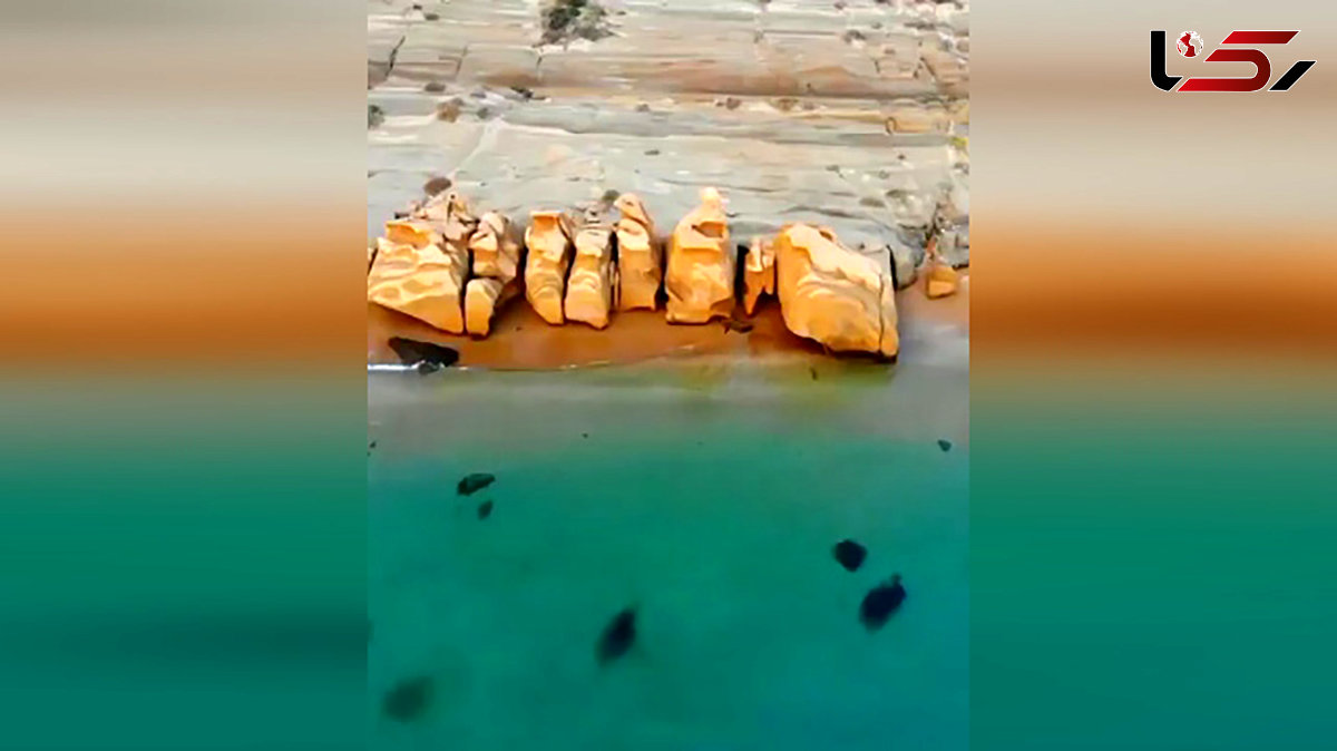 با یک ساحل زیبا در جنوب کشور آشنا شوید + فیلم