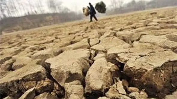 سمنان در معرض کویرزایی و شوری خاک