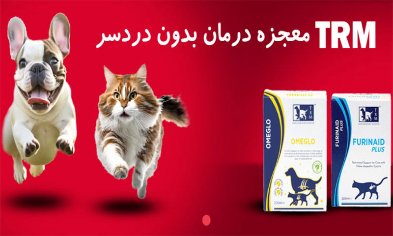 پت شاپ انیمالکده