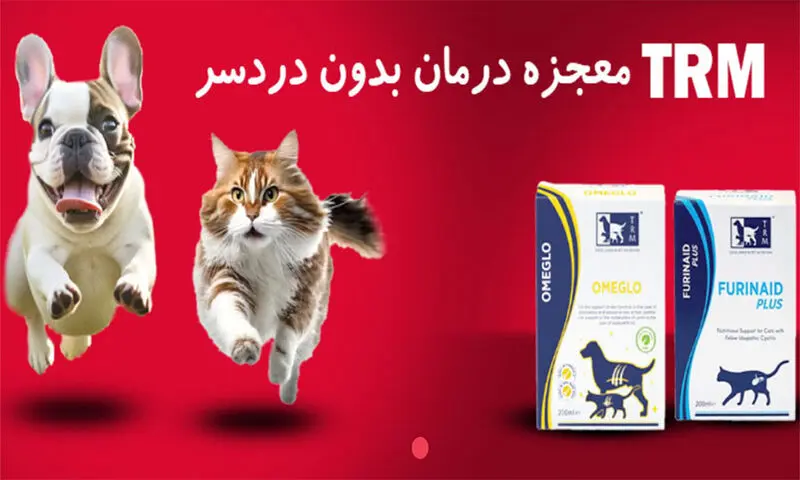 پت شاپ انیمالکده