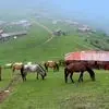 از هند تا ماسال / دو جای بکر و دیدنی