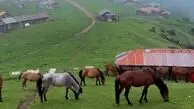 از هند تا ماسال / دو جای بکر و دیدنی