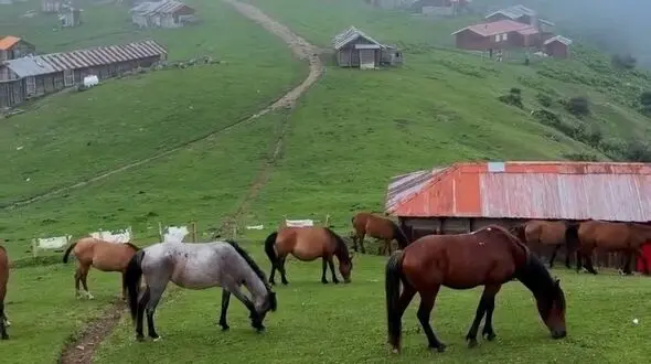 از هند تا ماسال / دو جای بکر و دیدنی