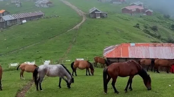 از هند تا ماسال / دو جای بکر و دیدنی