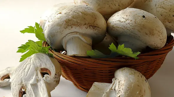 مقابله با پیری با این ماده غذایی سفید رنگ