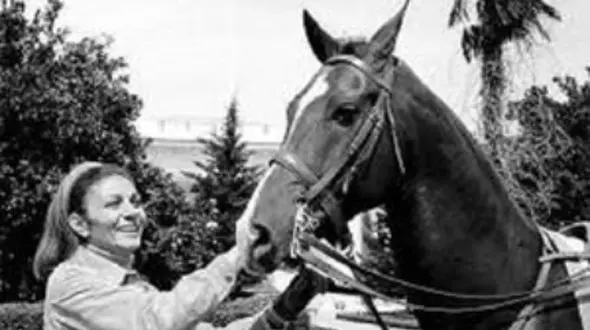 شکنجه اسب زبون بسته که به «فرح پهلوی» سواری نداد/ بخت بد اسب اصیل ایرانی که به دستور شاه پهلوی اخته شد!+عکس