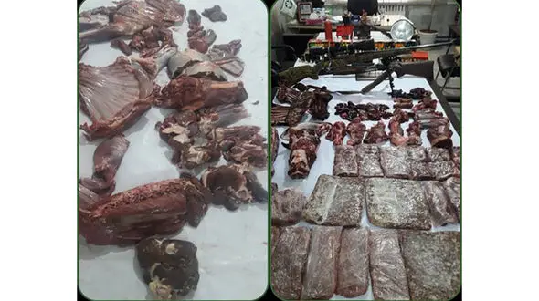 بی‌رحم ترین مردان سمنان دستگیر شدند! / آنها را با این عکس بشناسید + عکس 