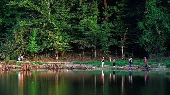 سقالکسار بارونی را ببینید + فیلم