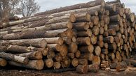 ۸۰ تن چوب قاچاق در مهاباد کشف شد