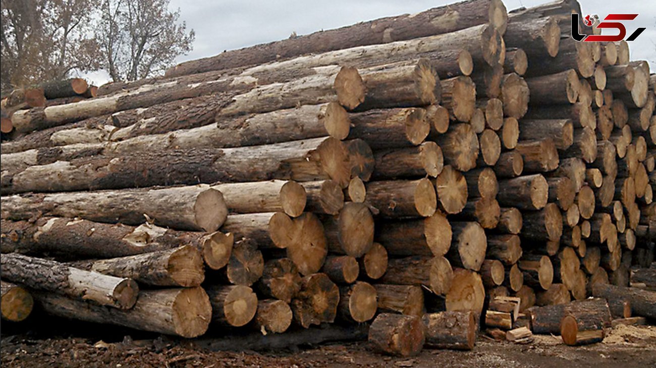 ۸۰ تن چوب قاچاق در مهاباد کشف شد