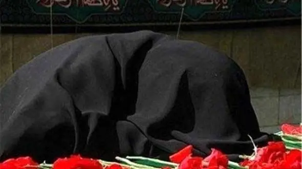 مادر شهید عبدالله ملاحی به دیدار فرزند شتافت