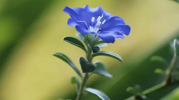 نوروز ۱۴۰۴ رسید؛ عید مبارک/ سال نو، فرصتی برای تجدید انرژی و شروعی دوباره!
