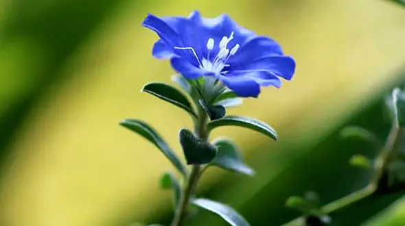 نوروز ۱۴۰۴ رسید؛ عید مبارک/ سال نو، فرصتی برای تجدید انرژی و شروعی دوباره!