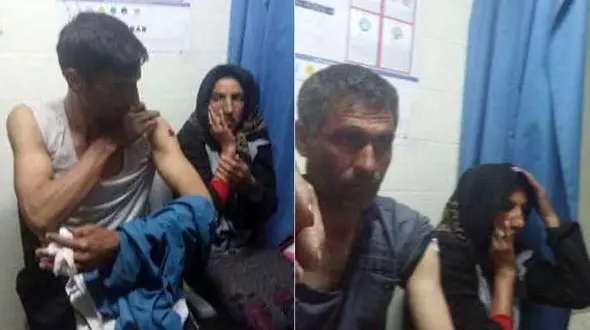 حمله خونین گرگ به یک دختر و 3 مرد + عکس