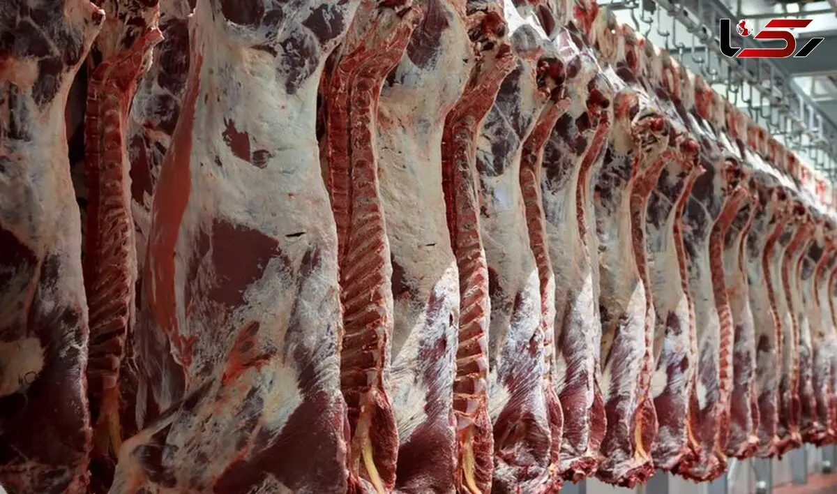 واردات گوشت به اوج رسید