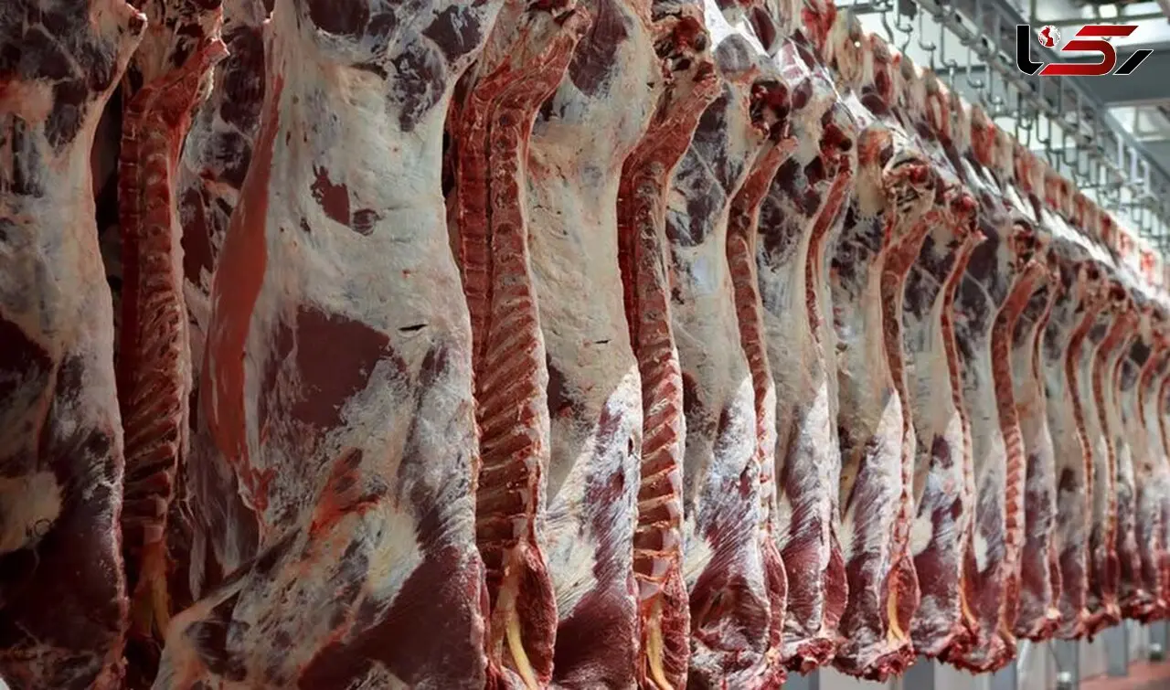 واردات گوشت به اوج رسید