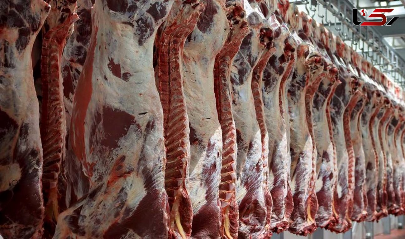  دلیل کاهش قیمت گوشت در بازار 