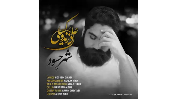 "شهر حسود" با صدای علی زندوکیلی +دانلود موزیک