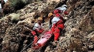 حمله خرس به یک کوهنورد در چهارمحال و بختیاری+عکس