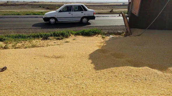 واژگونی کامیون حامل ذرت در جاده اهواز به اندیمشک+تصاویر