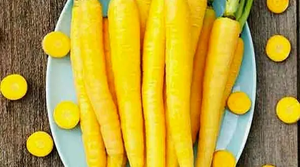 دیابت دارید زردک بخورید