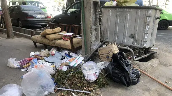 تهرانِ آلوده و کثیف است ، شهری برای موش‌ها!/ ماده ۵۵ قانون شهرداری‌ها اجرا نمی شود