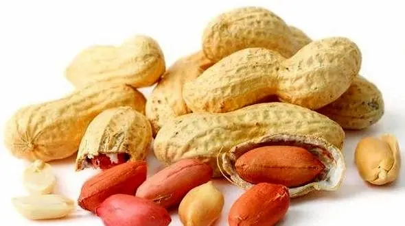 دو خوشمزه مقوی دشمن فشار خون و چربی