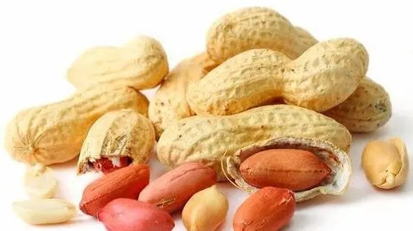 دو خوشمزه مقوی دشمن فشار خون و چربی