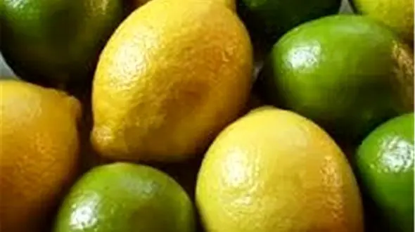 ممنوعیت صادرات انواع لیمو در اثر کرونا