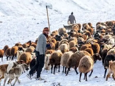 جذاب‌ ترین لحظات زمستانی سهند در قاب تصاویر