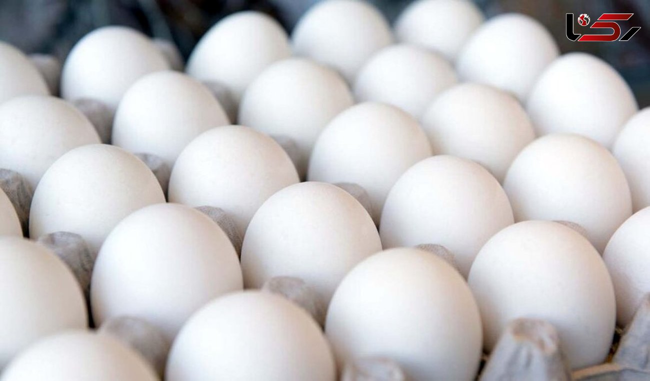 فروش تخم مرغ فله ای به قیمت ۴۵ هزار تومان