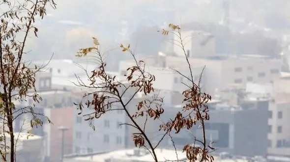 افزایش آلودگی هوا در کلانشهرها تا یکشنبه؛ بارش برف و باران در پیش است