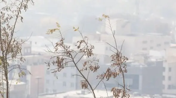 افزایش آلودگی هوا در کلانشهرها تا یکشنبه؛ بارش برف و باران در پیش است