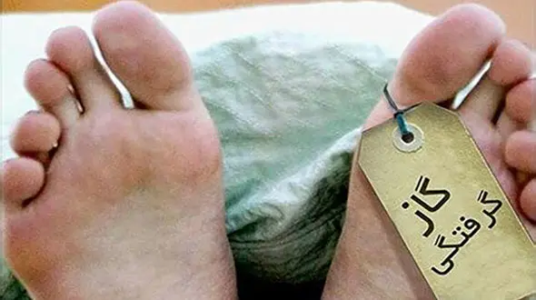 گازگرفتگی مرد جوان در آستانه‌ اشرفیه