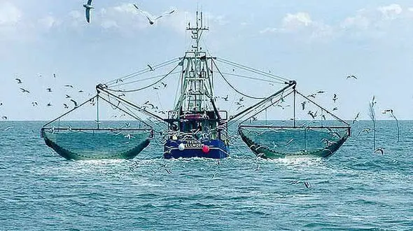 توقیف 2 کشتی صید ترال در آب های استان بوشهر