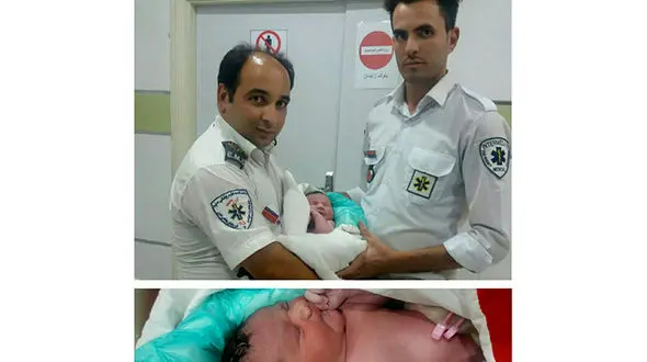 تولد نوزاد عجول در ساوه +عکس