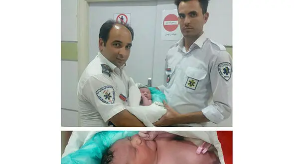 تولد نوزاد عجول در ساوه +عکس
