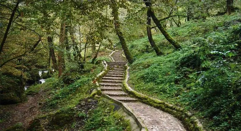 سفر به ماسوله
