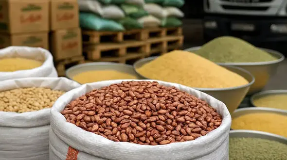 افزایش 30 تا 35 درصدی قیمت حبوبات در بازار / لوبیا چیتی خارجی ارزان‌ تر از نمونه ایرانی