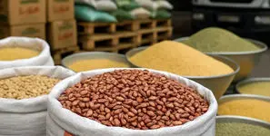 افزایش 30 تا 35 درصدی قیمت حبوبات در بازار / لوبیا چیتی خارجی ارزان‌ تر از نمونه ایرانی