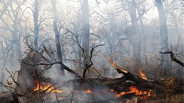هشدار به مازندران / گرم باد فردا به جنگل ها می رسد 