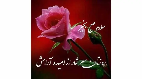فال ابجد امروز / 27 بهمن + فیلم
