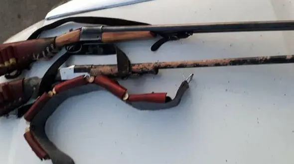 کشف محموله بزرگ اسلحه شکاری در تهران