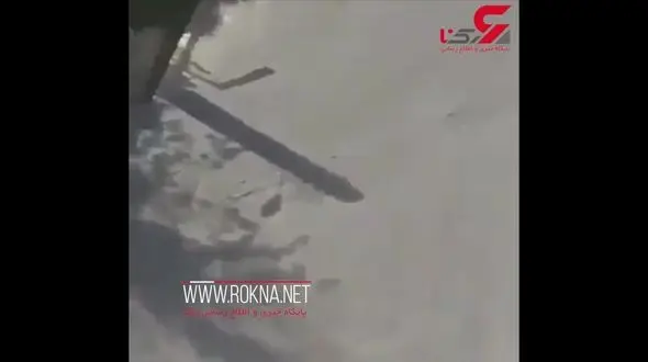 فیلم هولناک از رجز خوانی و حمله یک شرور بدون لباس به پلیس