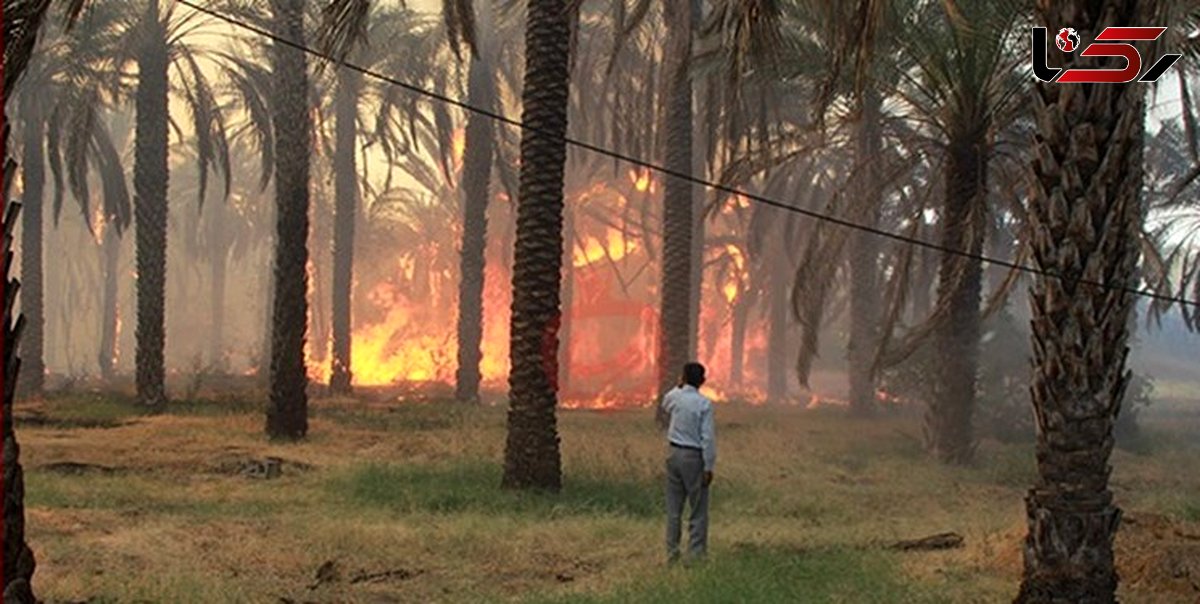 آتش‌سوزی جنگل گلوبردکان «ریز» مهار شد