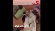 اقدام زشت 2 مرد عرب با شتر در برابر دوربین + فیلم