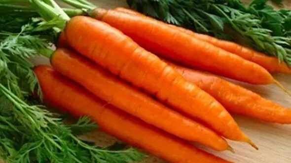 جلوگیری از پلاسیده شدن هویج  
