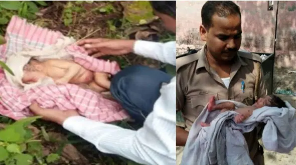 حمله حیوانات وحشی به نوزاد رها شده در بوته ها + عکس